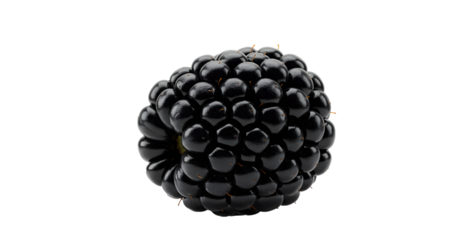 Blackberry PNG Transparent, White Background - Powered by Adobe