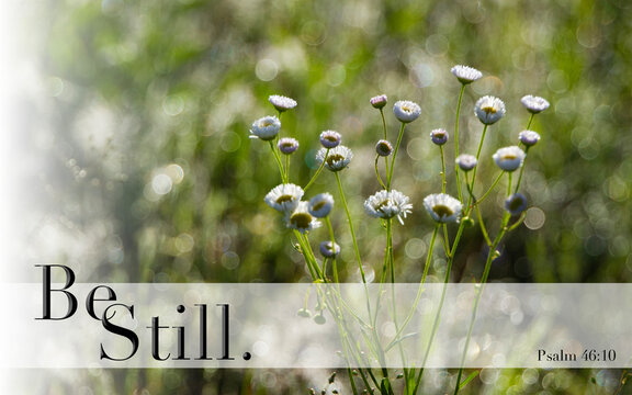 Be Still and Know that I Am God llustration with Psalm 46:10 and wildflowers
