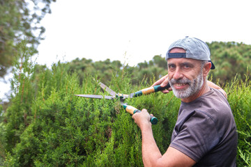 Mature man pruning hedges with gardening shears.
