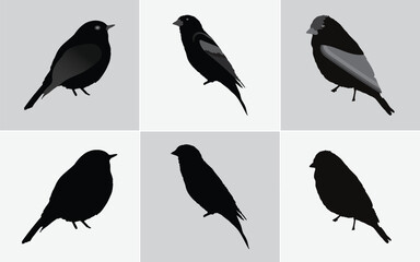 Six Minimalist Black Bird Silhouette Illustrations: Vector Icons for Web and Print Design, Black Bird Silhouettes Vector Set: Includes Finch, Sparrow, and Bunting Style Icons