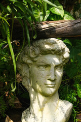 escultura michelangelo jardim plantas verde