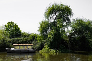 barco rio natureza verde interior 
