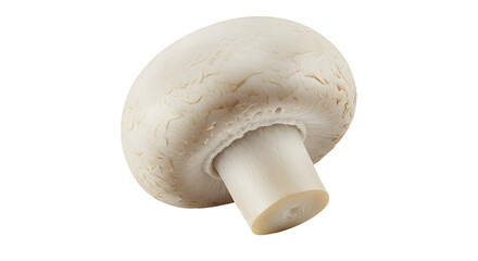 Fototapeta premium Mushroom PNG White Background, Transparent
