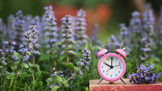 Alarm clock with book and purple flowers in the grass. Springtime, summer or daylight savings time concept.