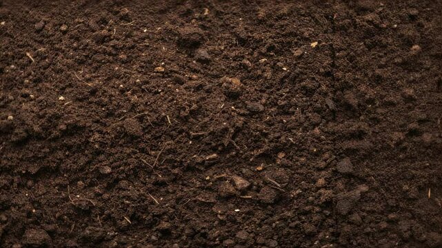 A closeup view of a soil output pile rich and dark with visible pieces of recycled construction materials blended throughout demonstrating successful composting.