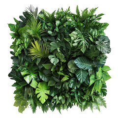 Fototapeta premium Green foliage arrangement close up on transparent background