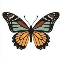 Brightly Colored Peacock Butterfly Moth Species