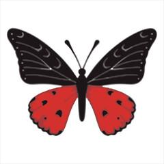 A butterfly with elaborate markings in gold and black