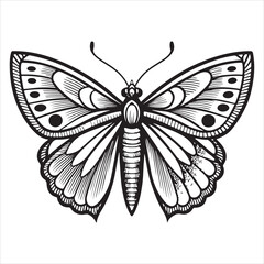 Adorable butterfly in a black silhouette, doodle-style moth