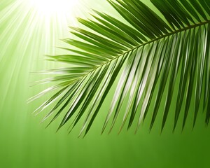 Obraz premium Lush Green Palm Leaf Sunlight Background Tropical Nature