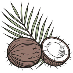 Coconut Adobe Illustrator Artwork