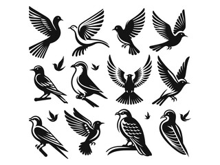 Fototapeta premium Bird Vector Icon Pack