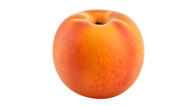 Peach PNG Transparent, White Background