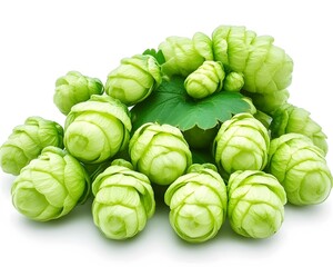 Fresh Green Hops Cones Closeup Photography Still Life