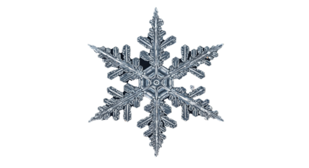 Snowflake PNG Transparent, White Background