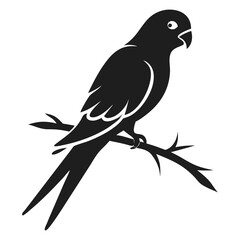 Fototapeta premium Silhouette of a parrot perched gracefully on a textured branch, showcasing its detailed feathers