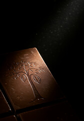 Fototapeta premium Chocolate Bar Cocoa Tree Close Up Origin World Chocolate Day Delicious Sweet Indulgence Art Photography Texture Background