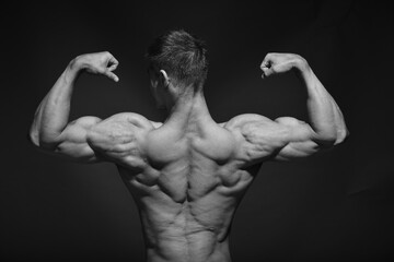 Fitness model