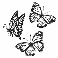 Obraz premium Three butterfly silhouette set 