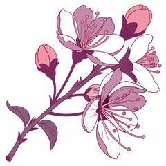 Flower Adobe Illustrator Artwork