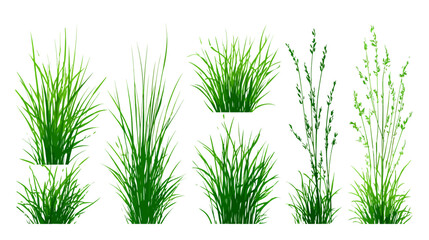 grass simple green set silhouette vector isolated on white background  -  