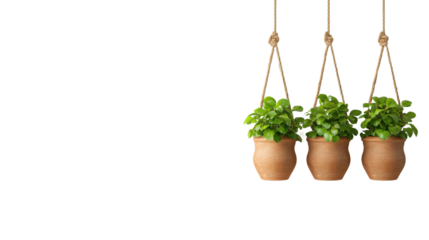 Three hanging potted plants with lush green leaves, adding a fresh touch to any modern decor.