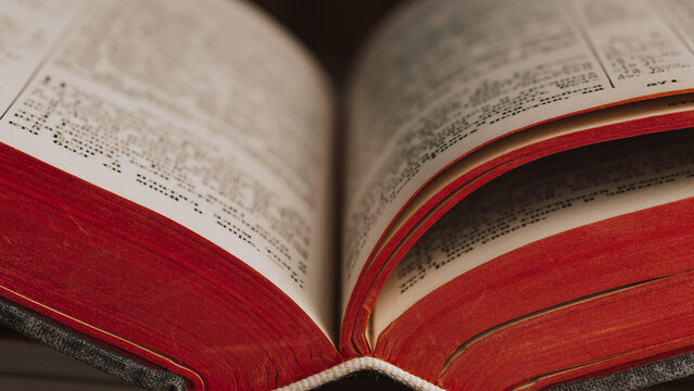 Close-up of open book with glossy pages and striking red edges