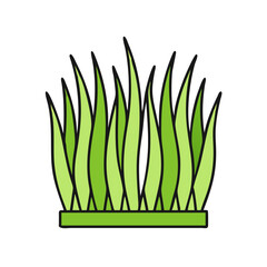 Illustration of green grass blades vector design element for nature and spring concepts graphic art