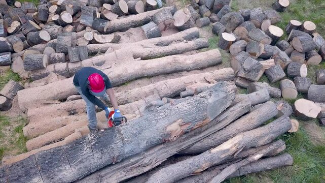 Lumberjack with a chainsaw cutting trees in the forest. Preparing firewood for winter. Top down view. Aerial view from drone
