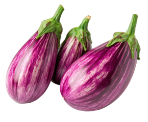 Fresh purple eggplants harvested in garden food nature isolated on transparent background