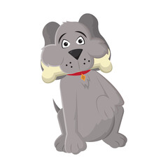 Gray dog near bone. Vector