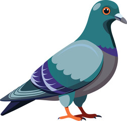 Pigeon