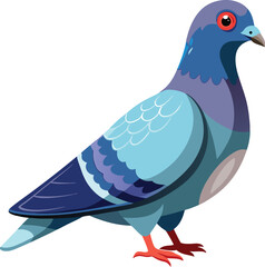 Pigeon