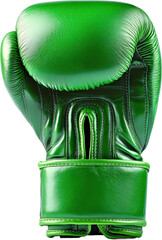 Green Boxing Gloves Close-up View