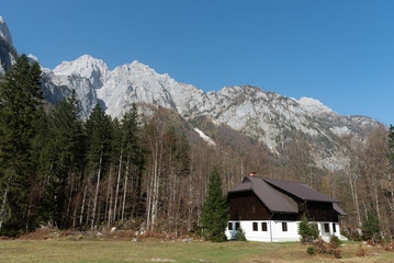 Cozy mountain chalet nestled in an autumn forest landscape. Julian alps Slovenia