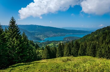Obraz premium Overlook to Lake Annecy from forest slope