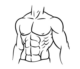 Male Torso with Defined Chest Muscles, Six-Pack Abs, and Strong Shoulders.  Fitness, Male Physique, Bodybuilding, Workout Goals, Athletic Strength, Muscle Anatomy, Health and Exercise