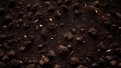 Textured surface of dark, earthy soil

