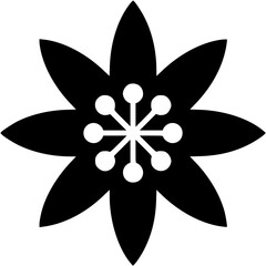 black and white flower