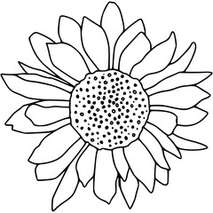 abstract flower vector