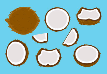 Vector illustration set of food vegetables fruits coconut, coconut milk, shell, nature. Isolated elements on white background for inspirational poster, motivational slogan on organic, vegetarian.
