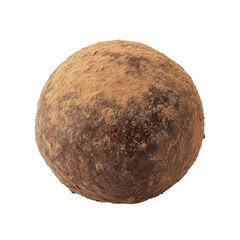 Fototapeta premium SakeTruffle isolated on transparent background.