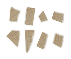 Torn Paper Pieces Collection seamless torn or ripped paper sheet or newspaper 