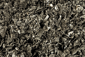 Background from burnt paper scraps, top view. Charred paper scraps.