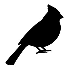 Silhouette of a Northern Cardinal Bird Standing Isolated on White Background