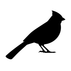 Simple silhouette of a Northern Cardinal bird on a white background