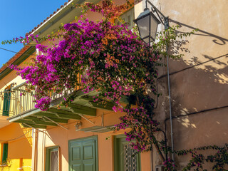 balcony with colorful Bougainville flowers in old town of Nafplio, Greece
