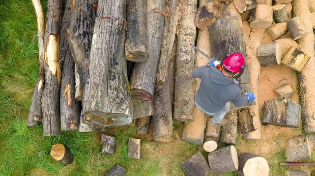Lumberjack with a chainsaw cutting trees in the forest. Preparing firewood for winter. Top down view. Aerial view from drone
