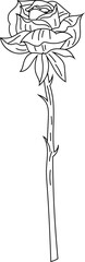 Tall rose stem minimalist line art rose vector illustration