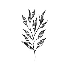 Minimal Leaf Line Drawing. Elegant black and white illustration of a single leaf stem drawn in a clean minimalist style.